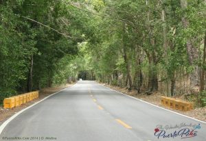Road to Coamo and Orocovis