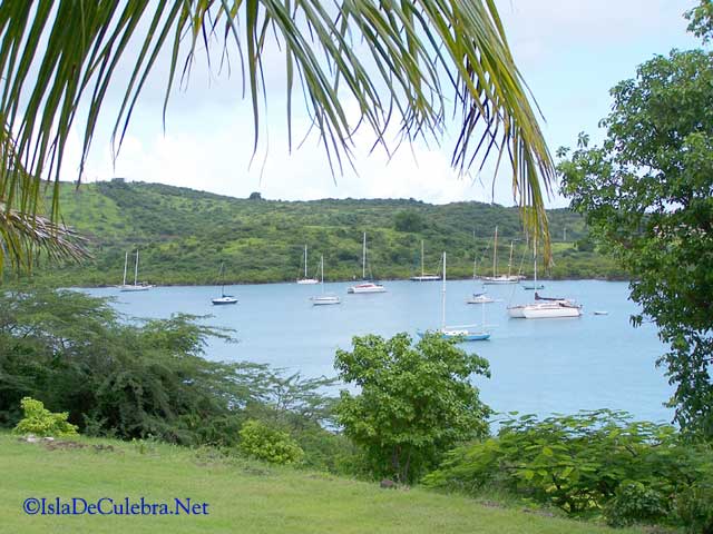Six Reasons To Visit Culebra Island
