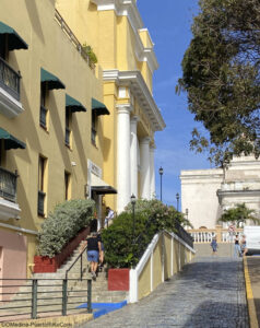 El Convento Hotel
